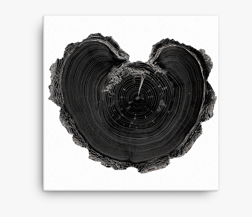 Circle, HD Png Download