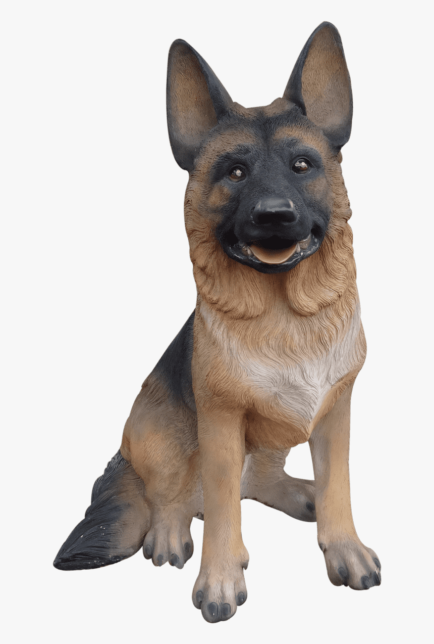 สุนัข Png, Transparent Png