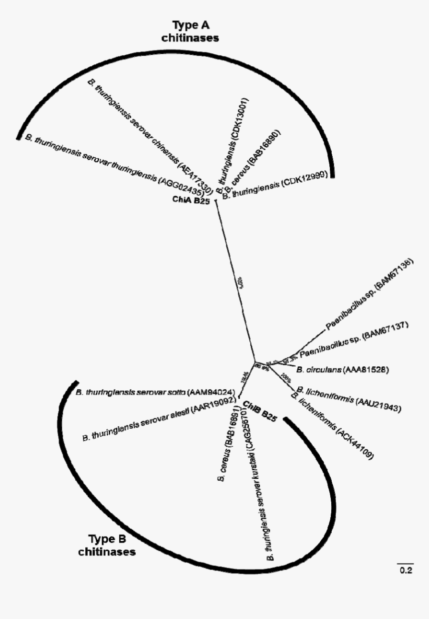 Diagram, HD Png Download