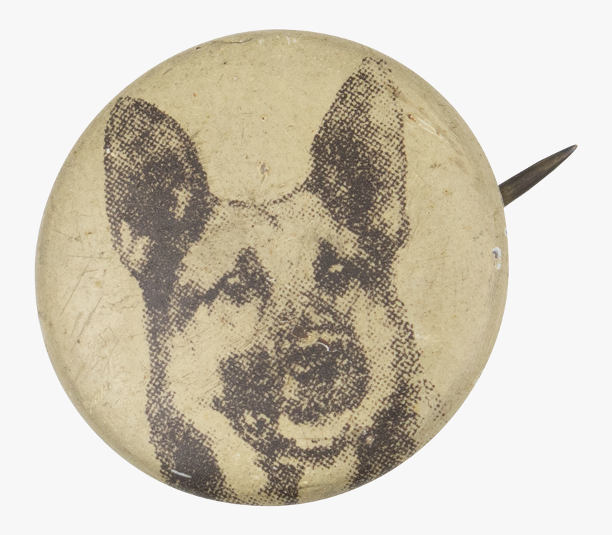 German Shepherd Art Button Museum - Lycaon Pictus, HD Png Download