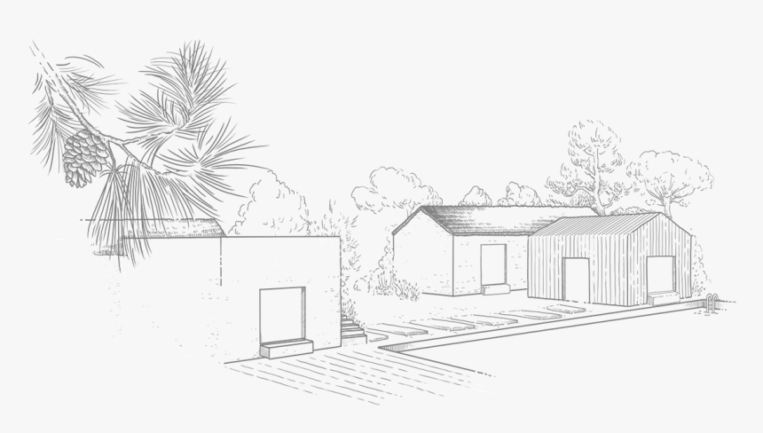 Transparent Casas Png - Line Art, Png Download