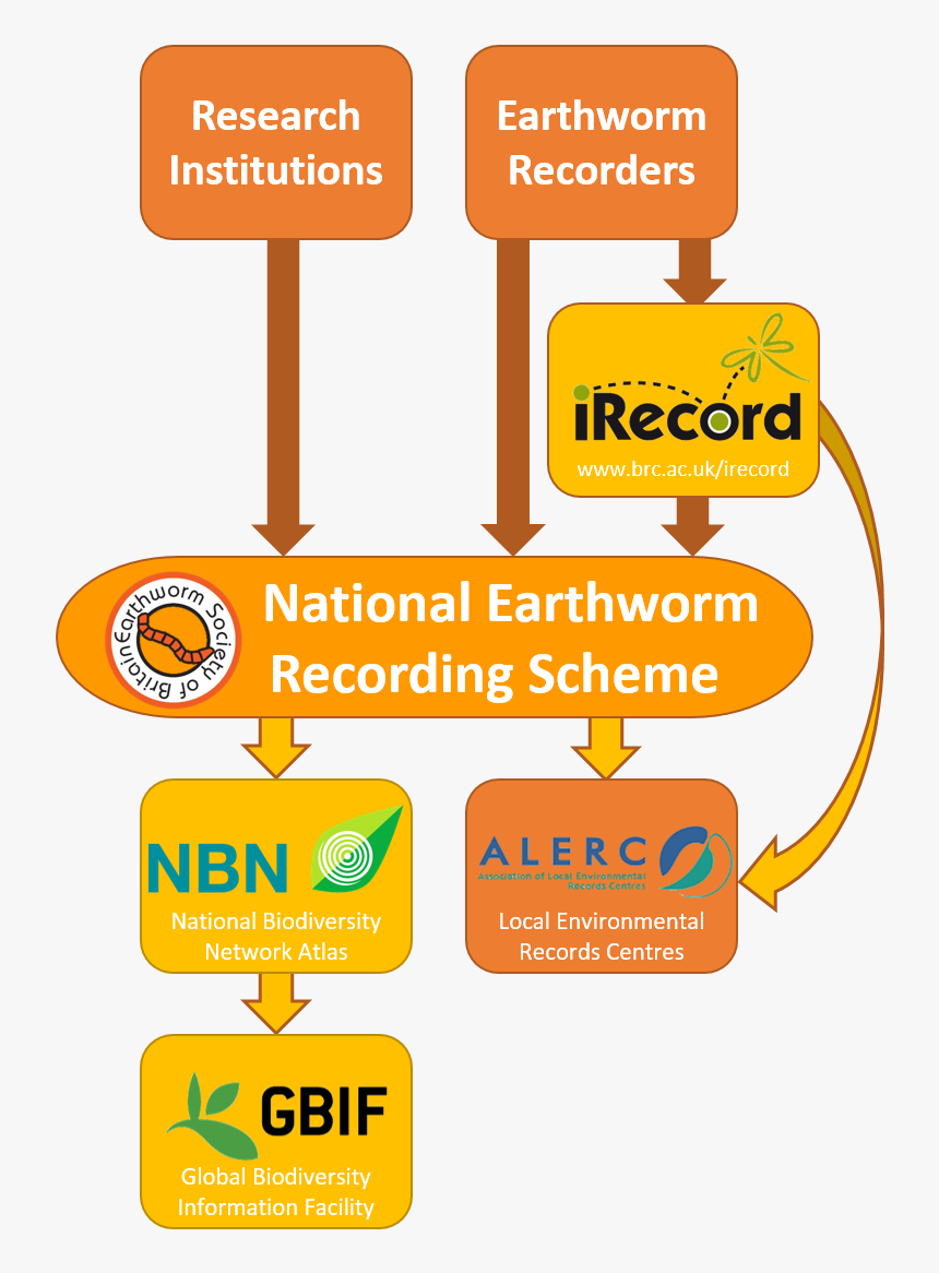 Data Flow Diagram, HD Png Download