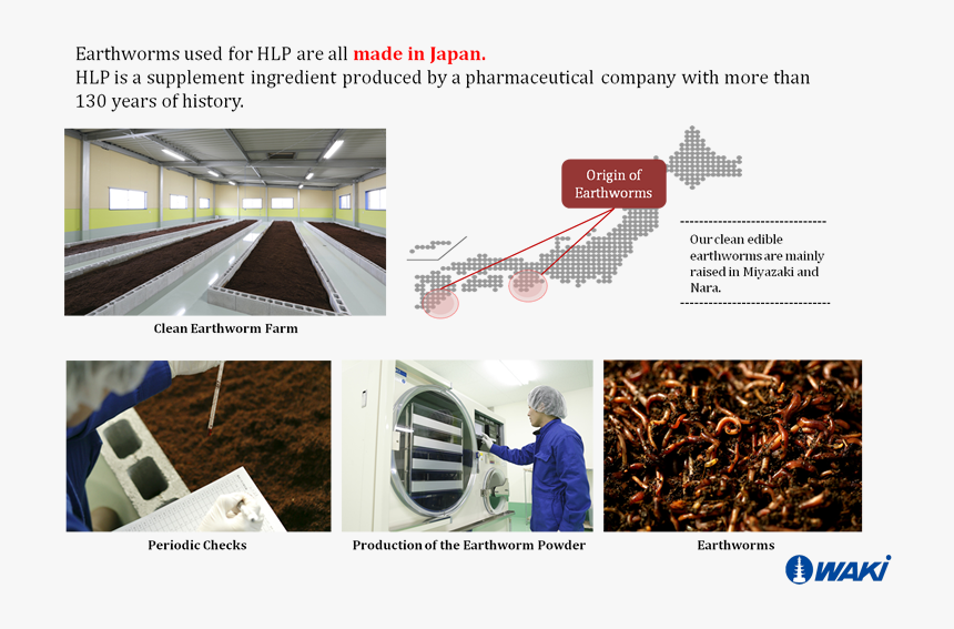 Earthiworms Used For Hlp Are All Made In Japan - Floor, HD Png Download