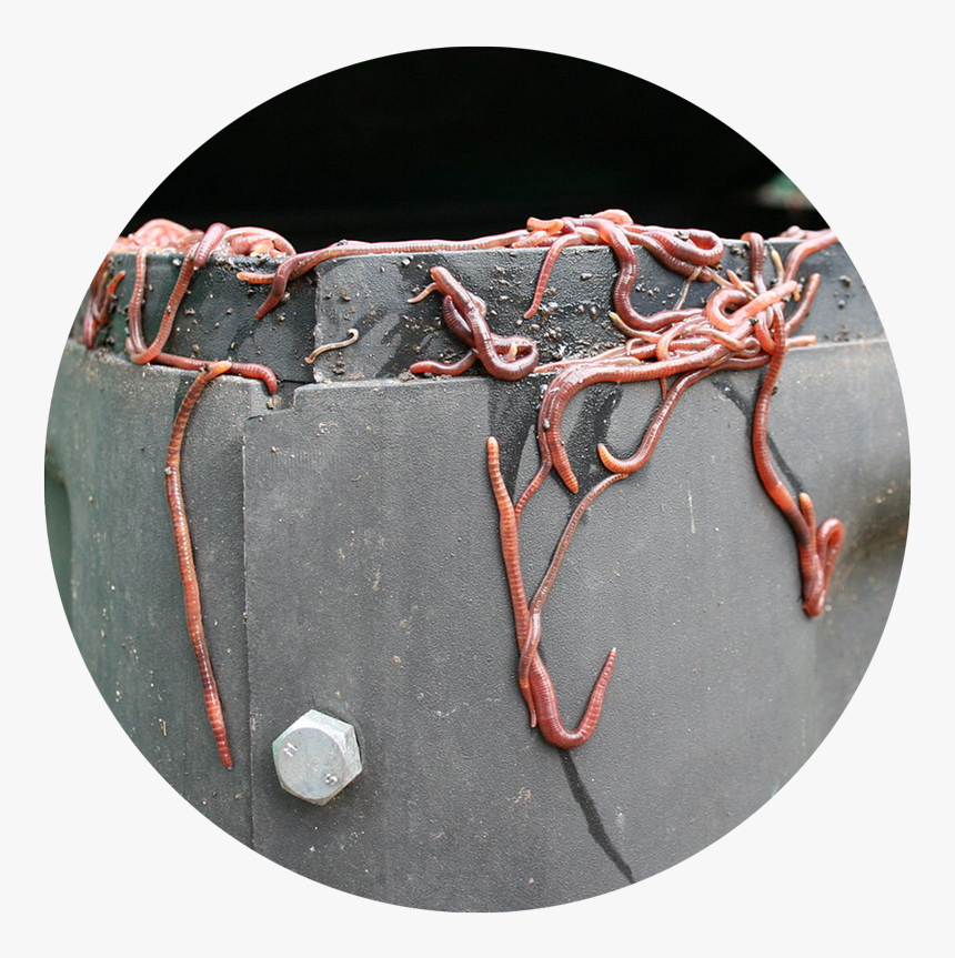 Make Compost Bin At Home, HD Png Download