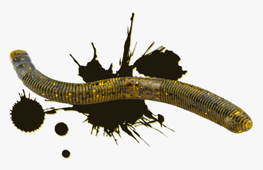 Lizard, HD Png Download