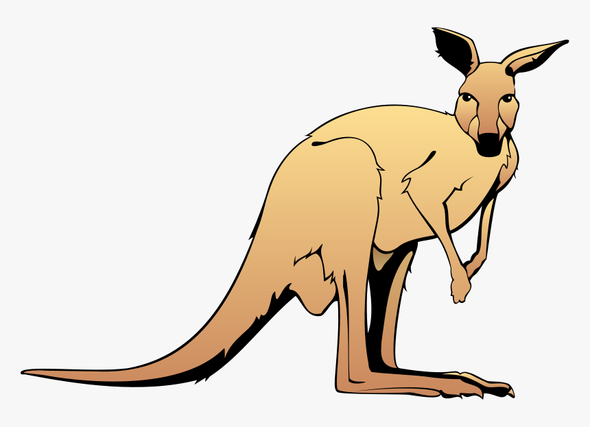 Kangaroo Animal Clipart Free Images - Kangaroo Clipart, HD Png Download