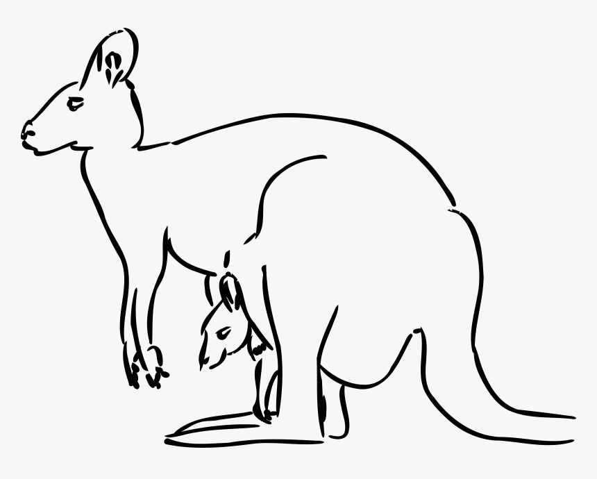 For - Kangaroo Black And White Clip Art, HD Png Download
