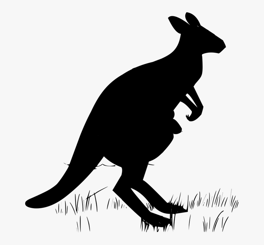 Kangaroo, Silhouette, Tattoo, Jump, Wallaby, Animal - Silueta De Un Canguro, HD Png Download