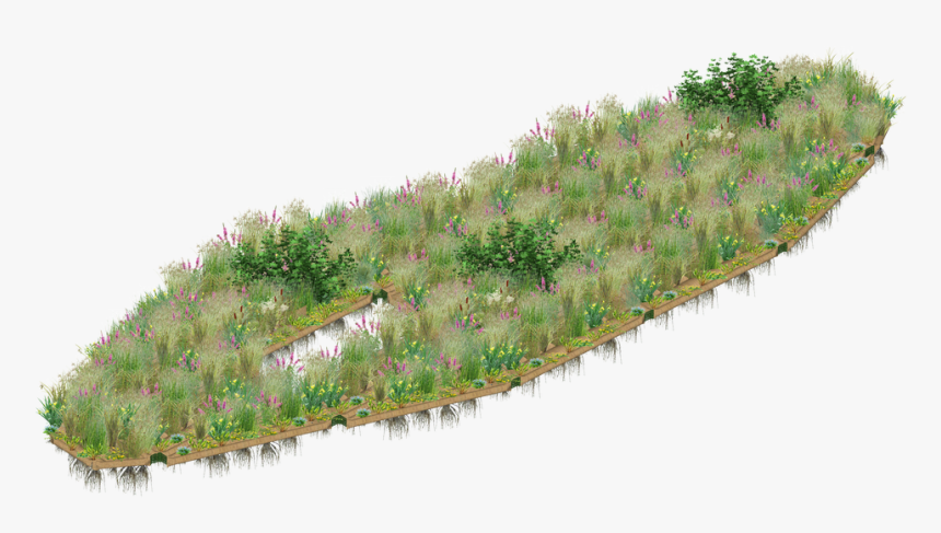 Picture - Grass, HD Png Download