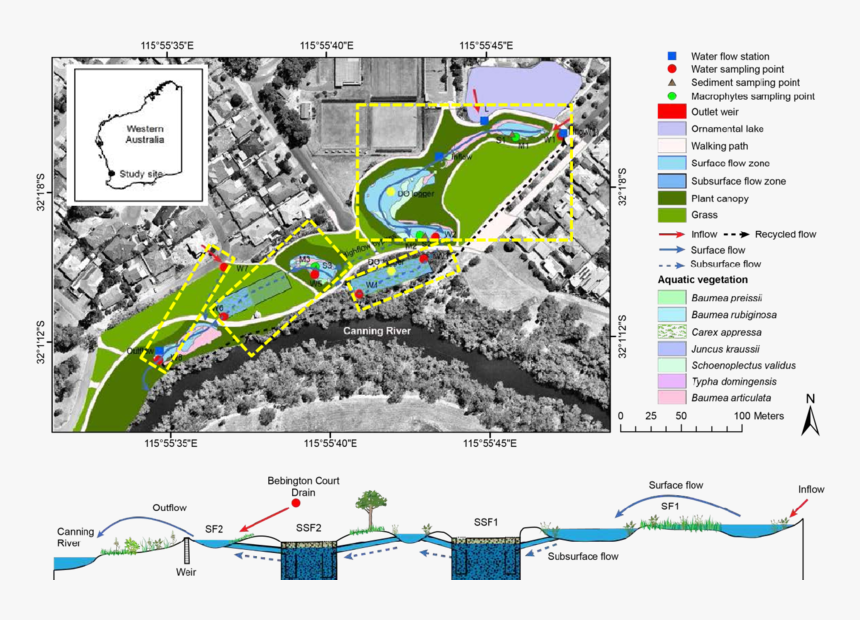 Wharf Street Wetland, HD Png Download