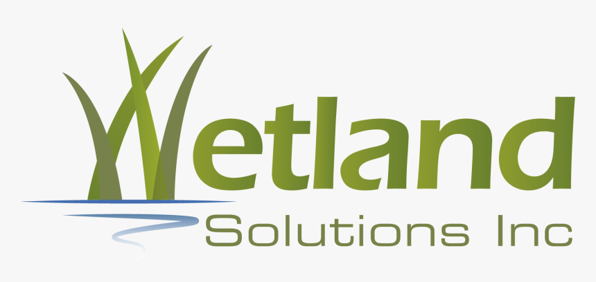 Back Home - Graphic Design, HD Png Download