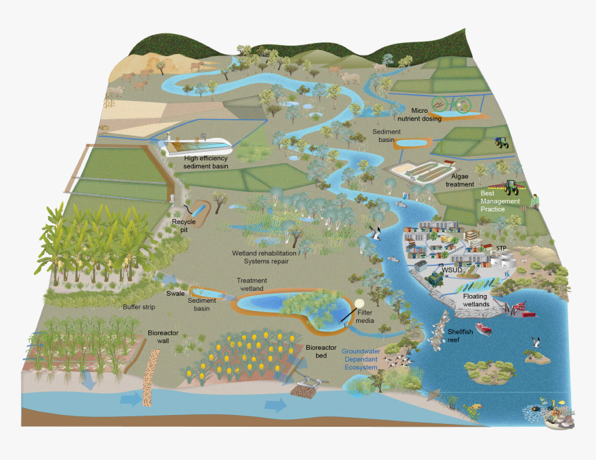 Wetland Png, Transparent Png