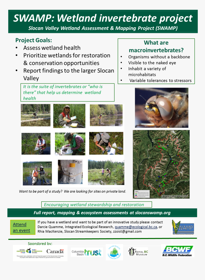 2016 06 - Flyer, HD Png Download