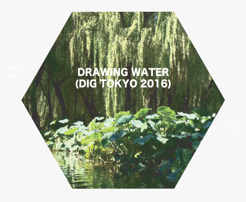 Transparent Wetland Png, Png Download