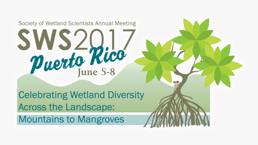 Gambia Bird, HD Png Download