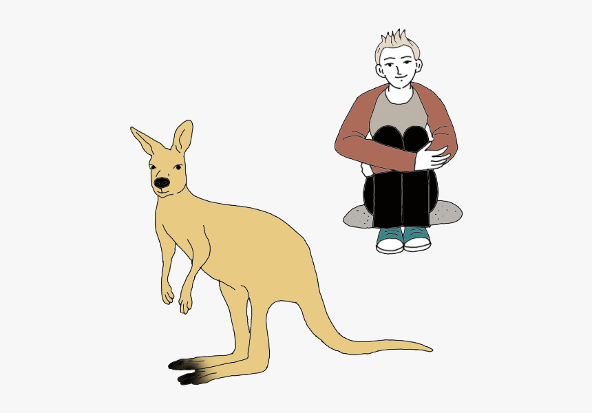 Kangaroo, HD Png Download