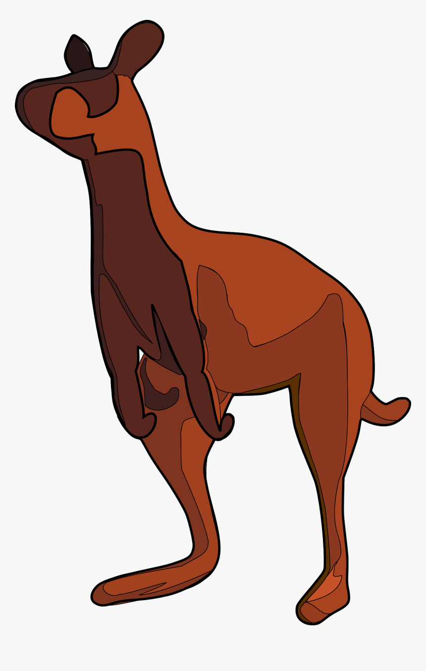 Kangaroo, HD Png Download