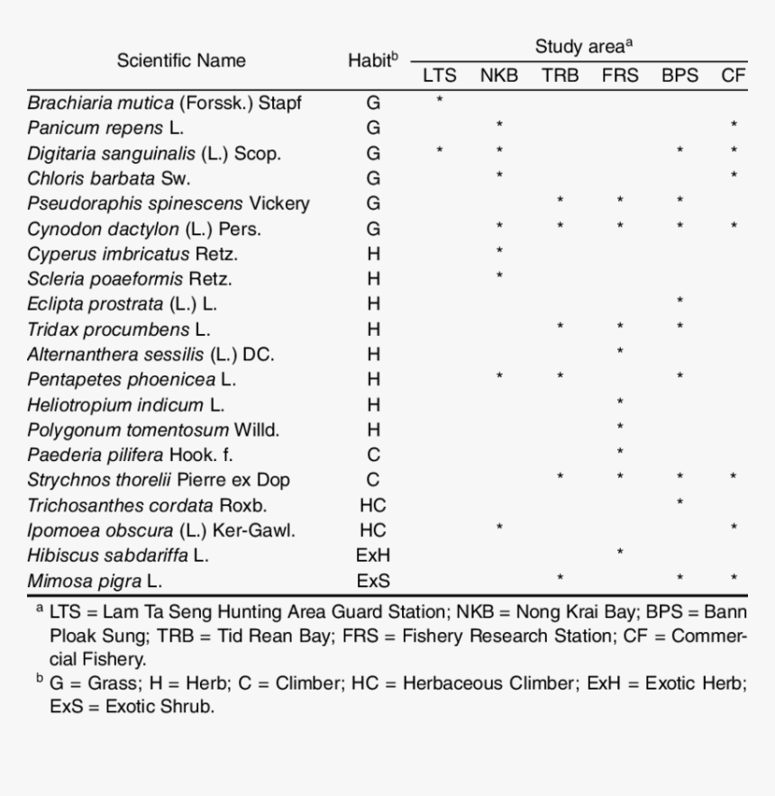 Document, HD Png Download