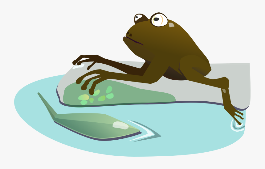 Moist - True Frog, HD Png Download