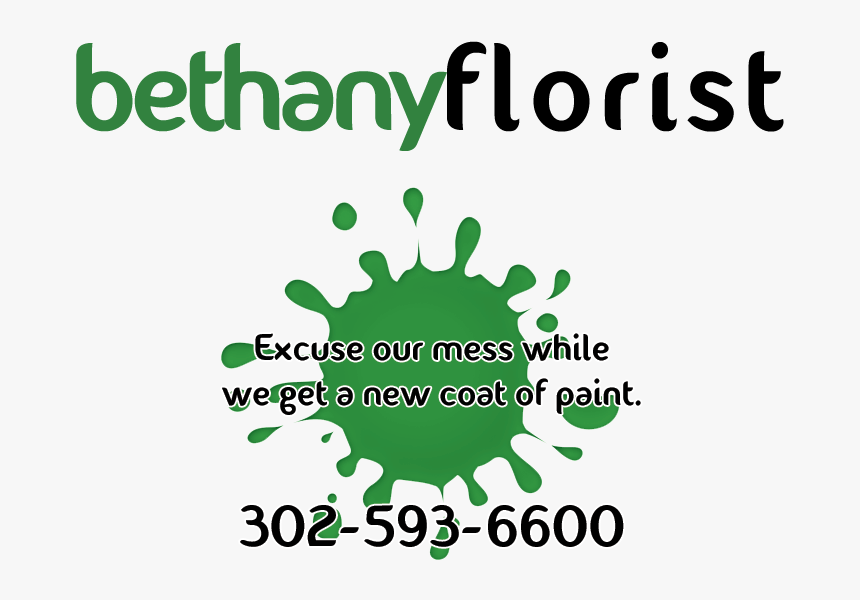 Aquatics, HD Png Download