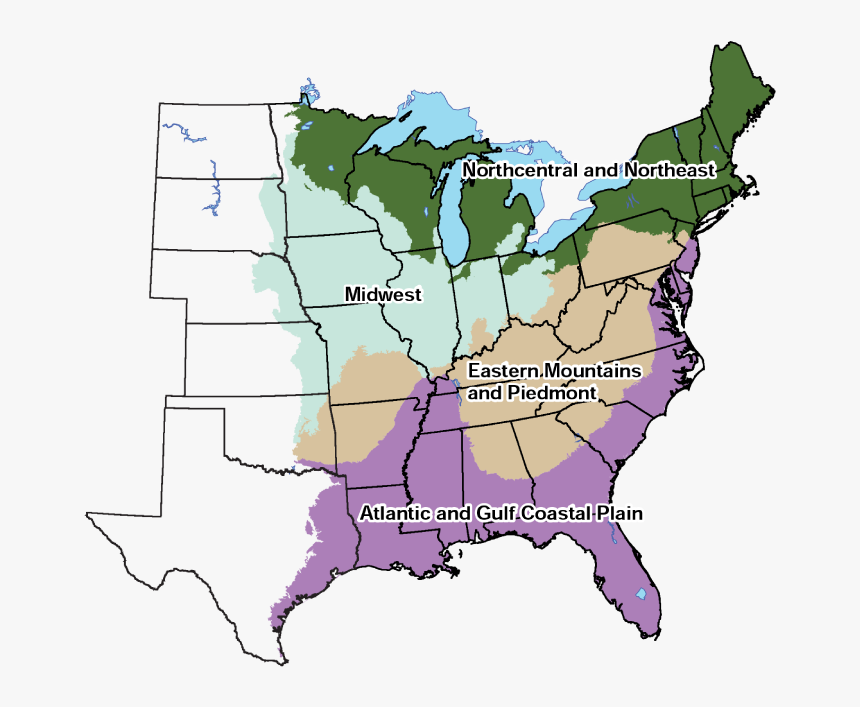 Wetland Indicator Map - Supplemental Poverty Rate By State, HD Png Download