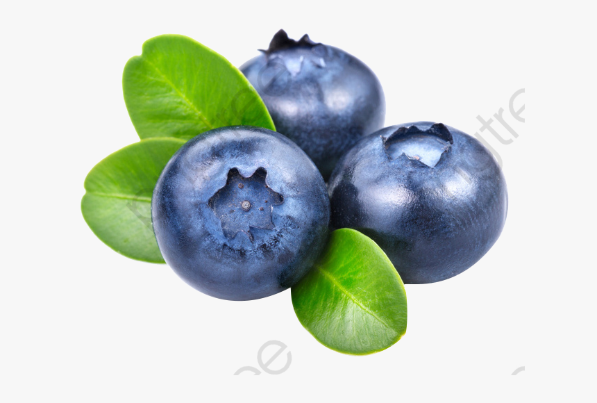 Transparent Fresh Blueberries Png Format Image With - Blueberries Png, Png Download