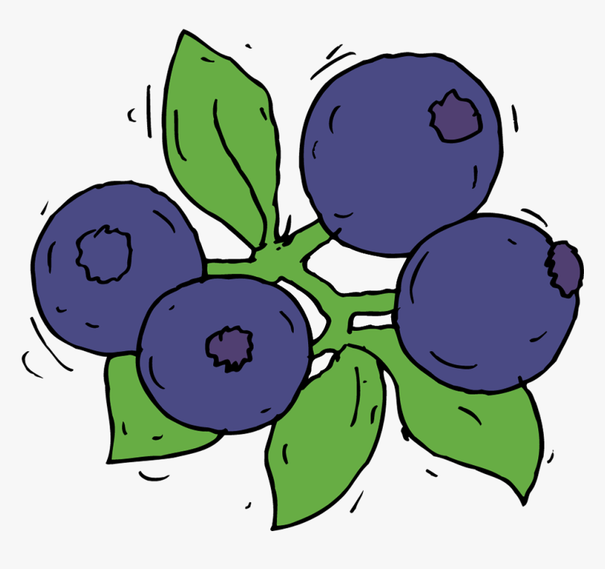 Blueberry - Collection - Fruit - Draw Blue Berry Clipart - Draw Blueberry, HD Png Download