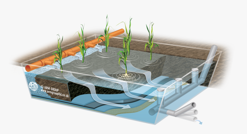 Aerated Vertical Flow Wetlands, HD Png Download