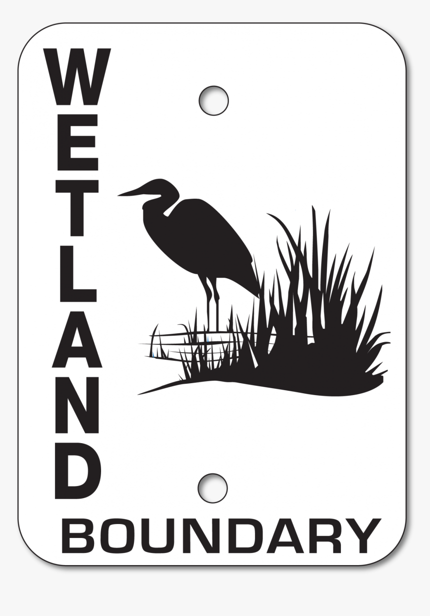 Great Blue Heron, HD Png Download