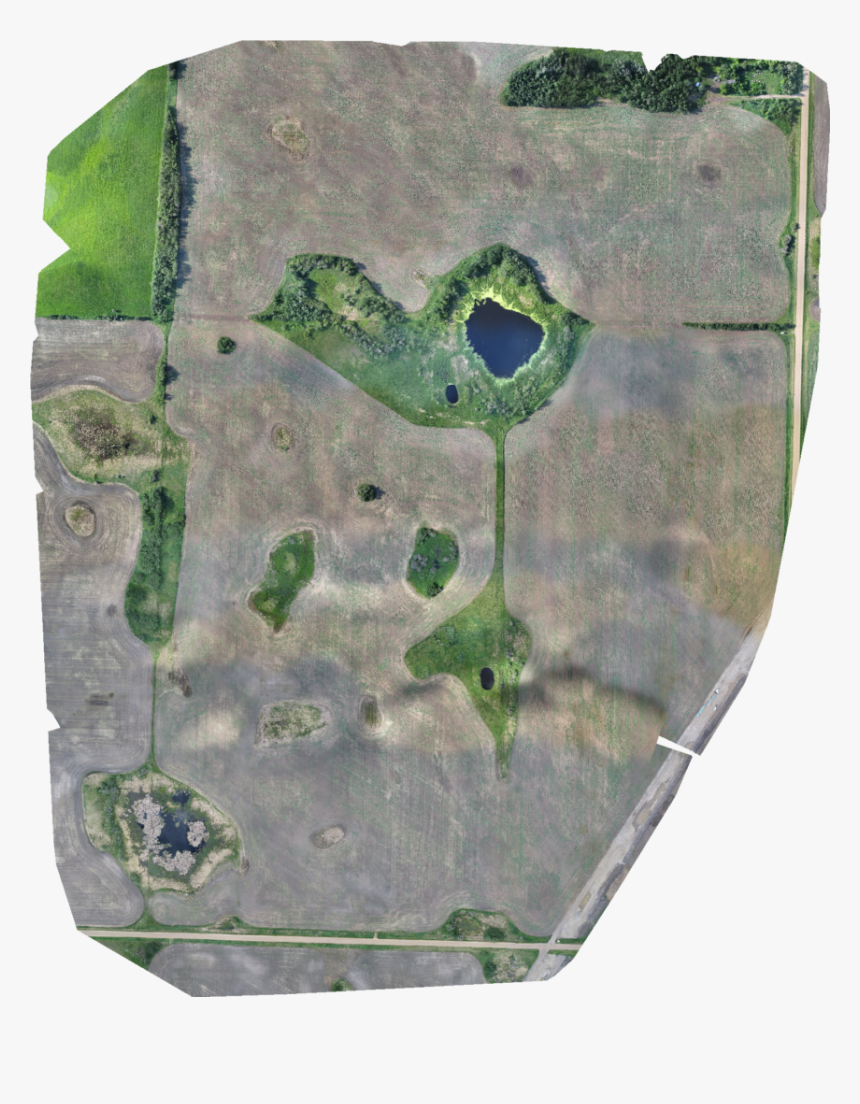 Wetlands, Conservation, Research, Aca, Nawmp, Agriculture, - Visual Arts, HD Png Download