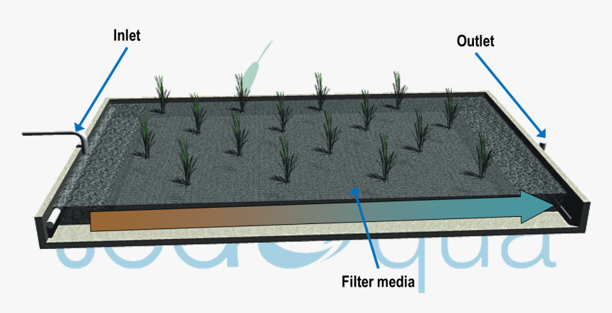 Diagram Of A Horizontal Flow Wetland - Barbed Wire, HD Png Download