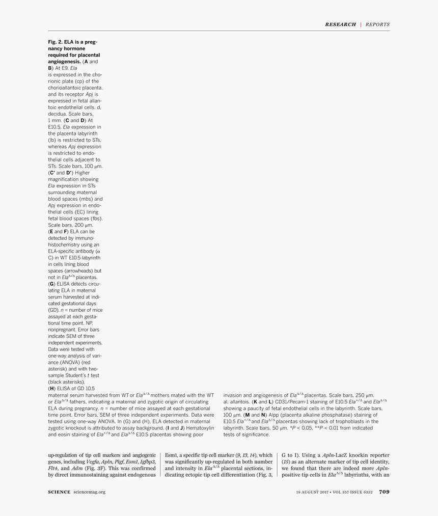 Discovery Of Achilles On Skyros, HD Png Download