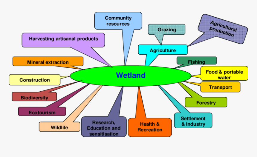 Diagram, HD Png Download