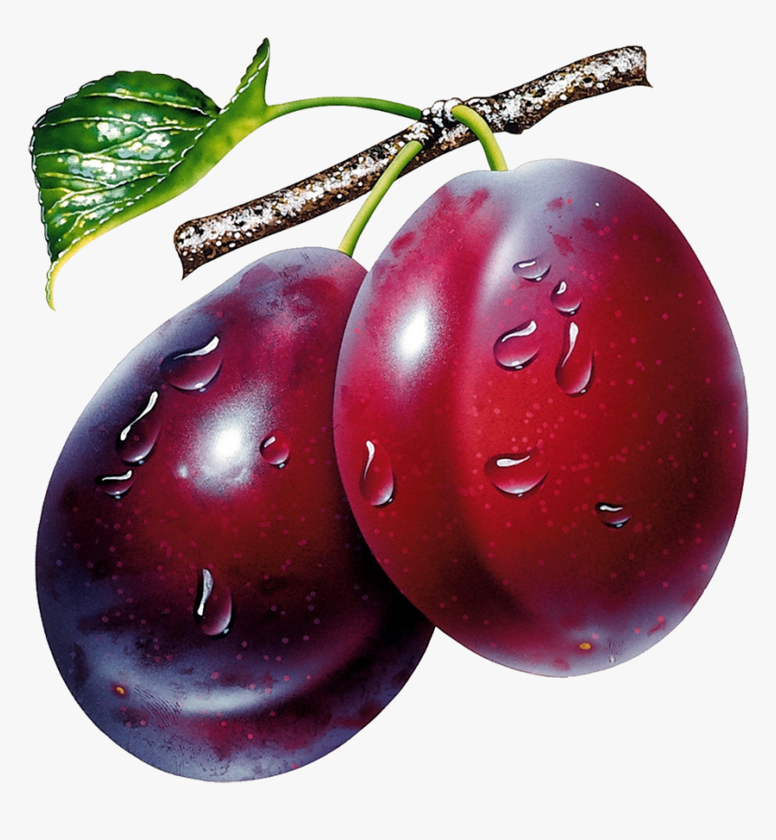 Plum Png Image - Prunes Clipart Png, Transparent Png
