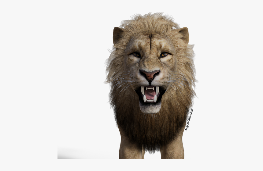 Lion - Masai Lion, HD Png Download