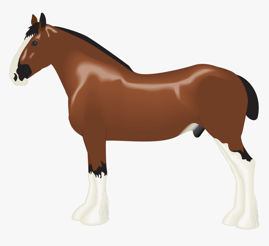 Clydesdale Horse Clip Arts - Draft Horse Png, Transparent Png