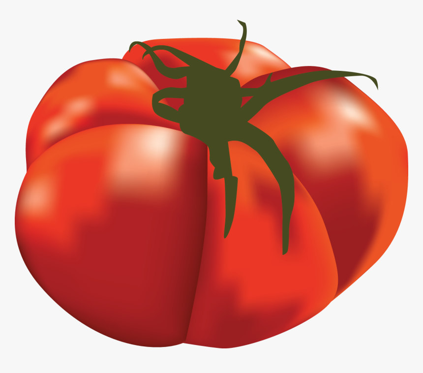 Popular Guide Part Steemit - Plum Tomato, HD Png Download