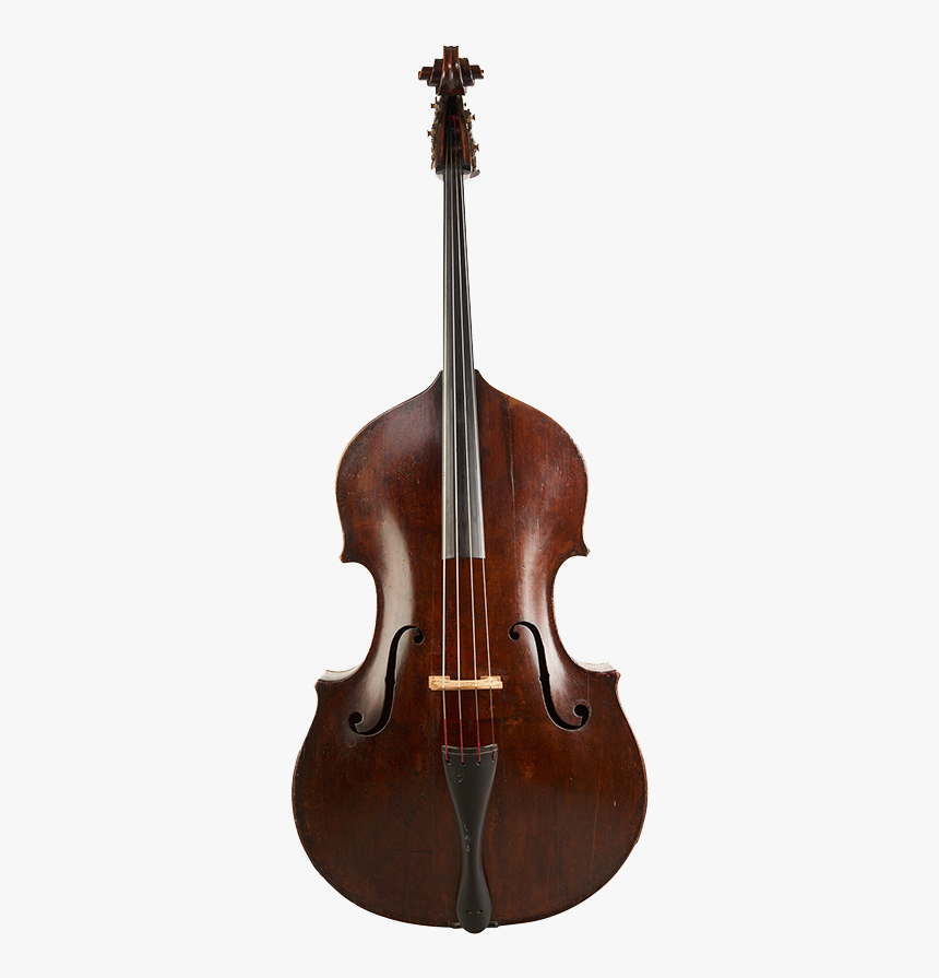 Peter Walmsley Double Bass - Double Bass Png, Transparent Png