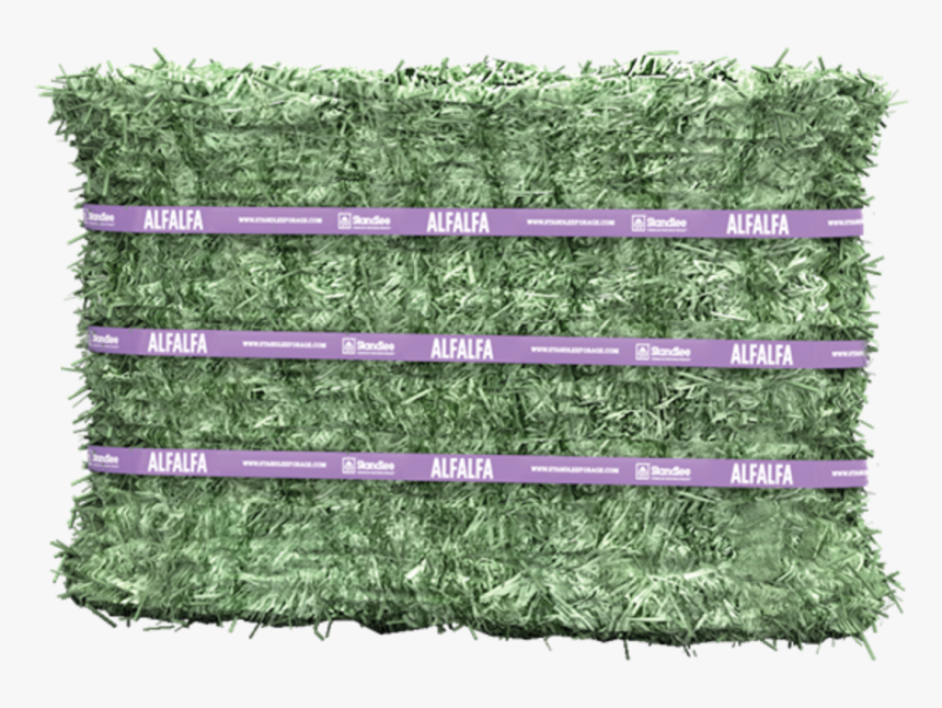Transparent Hay Bale Png - Horse Eating Standlee Alfalfa, Png Download