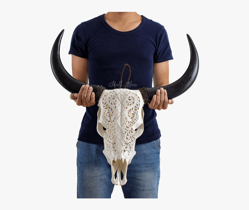 Carved Cow Skull // Xl Horns - Goat Skull Viking Carved, HD Png Download