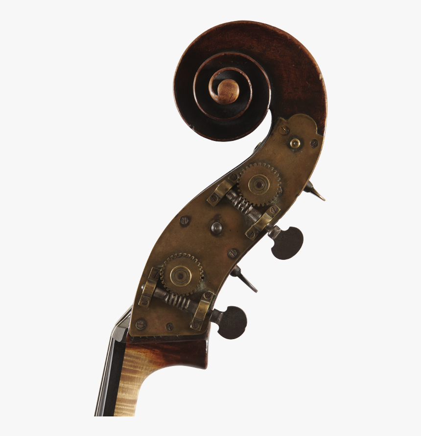 Viola, HD Png Download