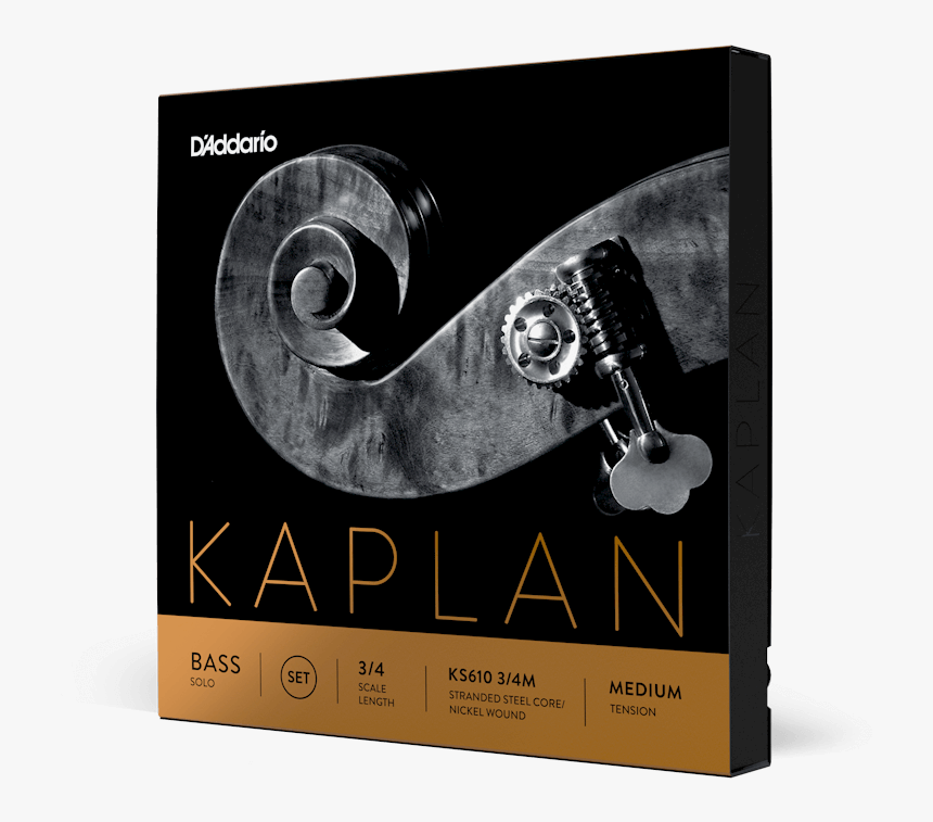 Double Bass Strings Solo, HD Png Download