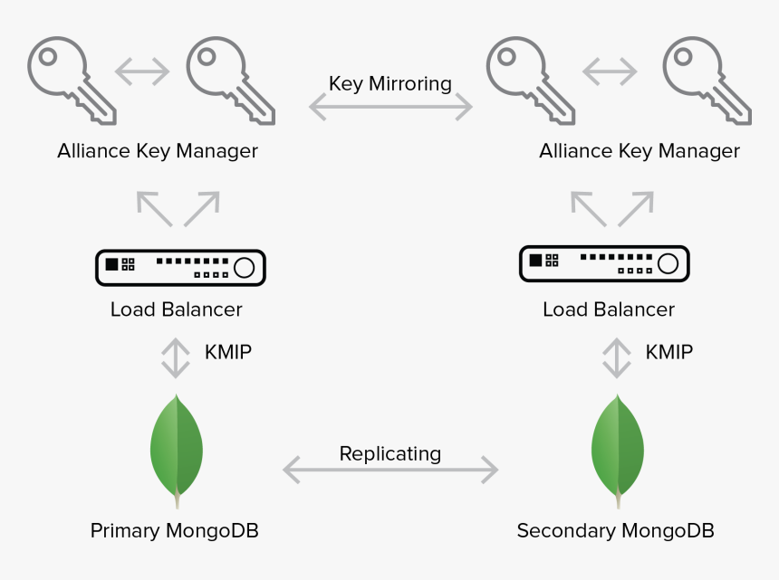 Mongodb Database Master Kmip, HD Png Download