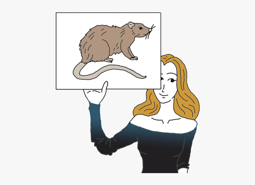 Rat Dream Meaning - Rat Symbolism Auntyflo, HD Png Download