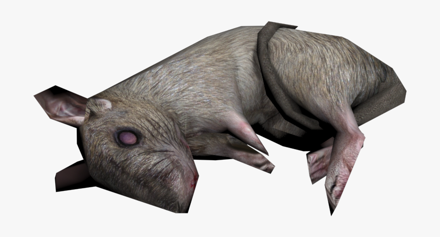 Download Zip Archive - Boar, HD Png Download