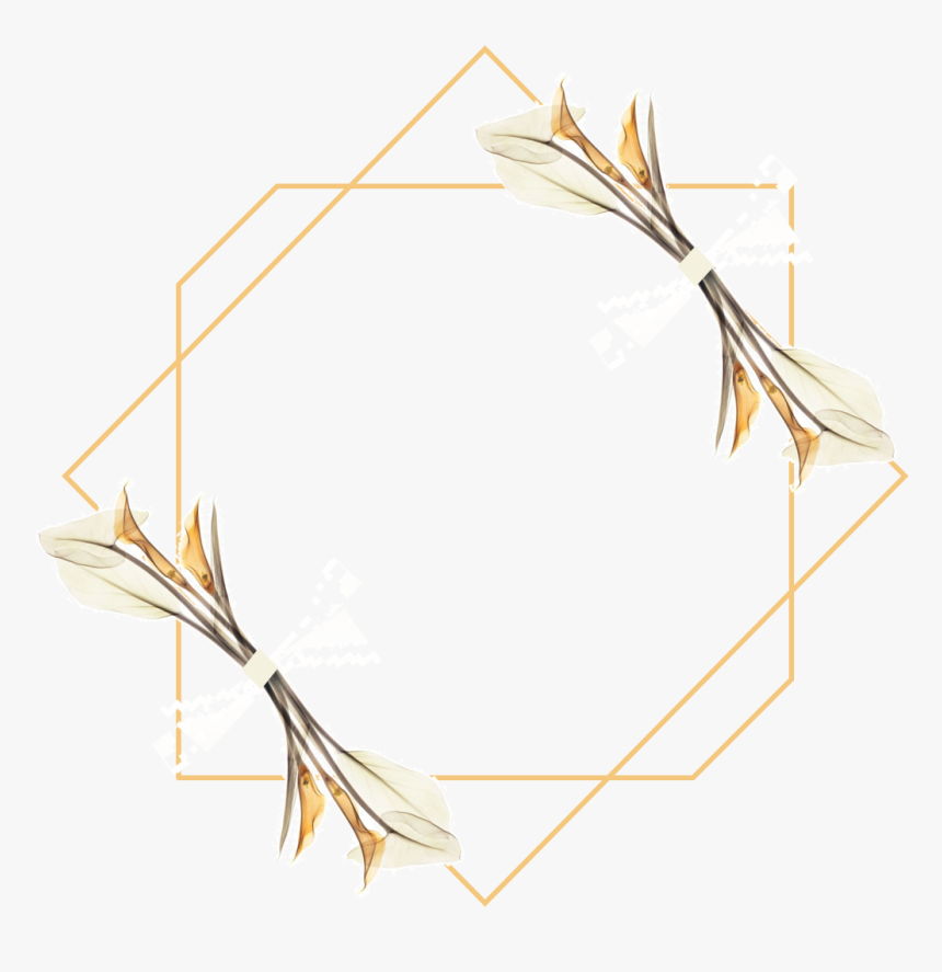 Illustration, HD Png Download