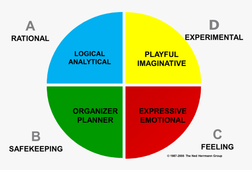 Whole Brain Thinking, HD Png Download