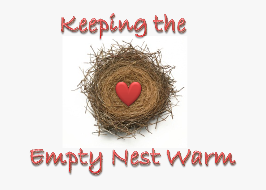 Nest, HD Png Download