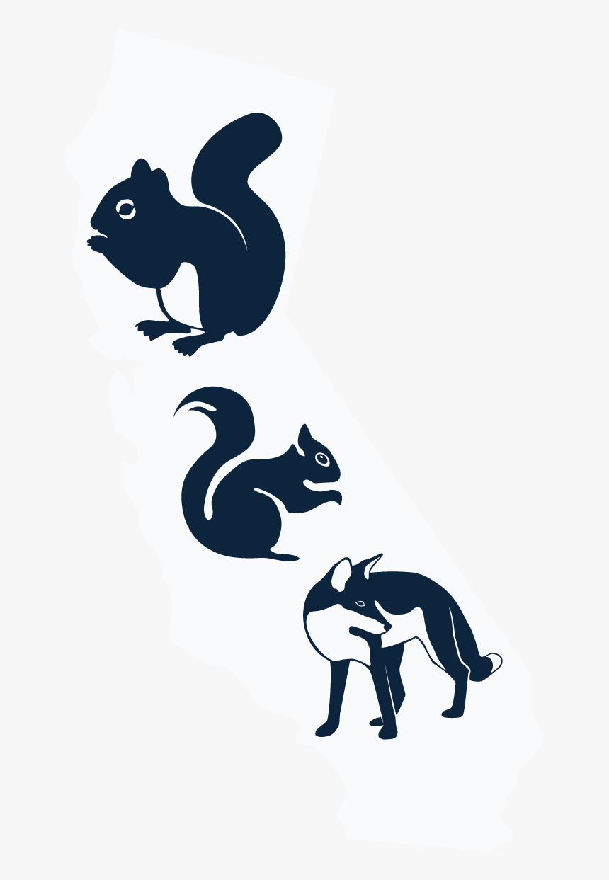 34 Pm 20298 Death 12/10/2015 Clipart , Png Download - Illustration, Transparent Png