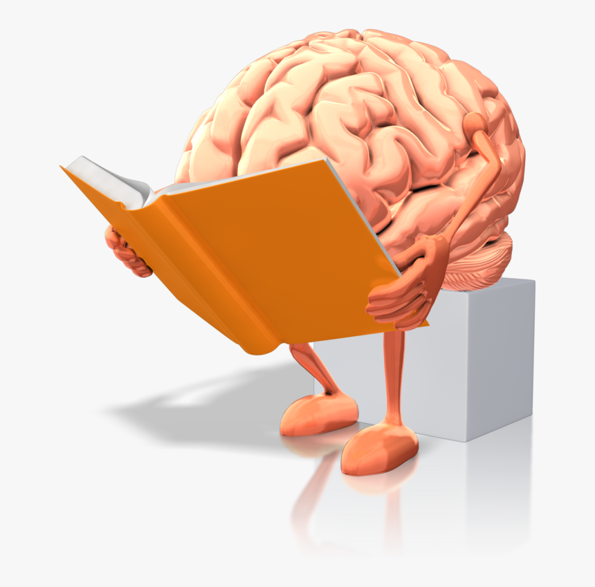 Transparent Thinking Brain Clipart Brain Reading A Book, HD Png
